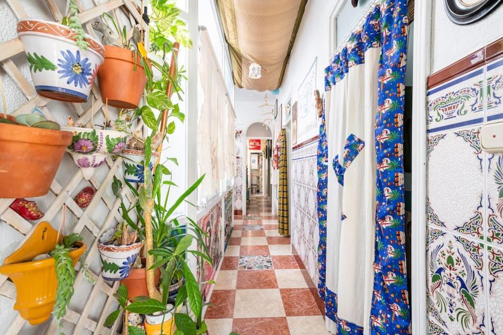 Habitaciones La Pepa Cádiz Eksteriør billede